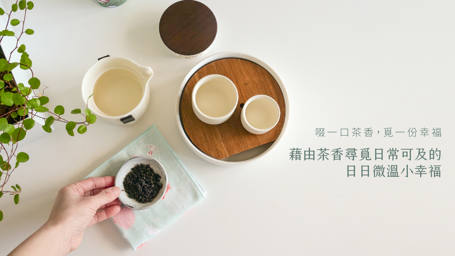 覓幸茶旅Mystea Journey